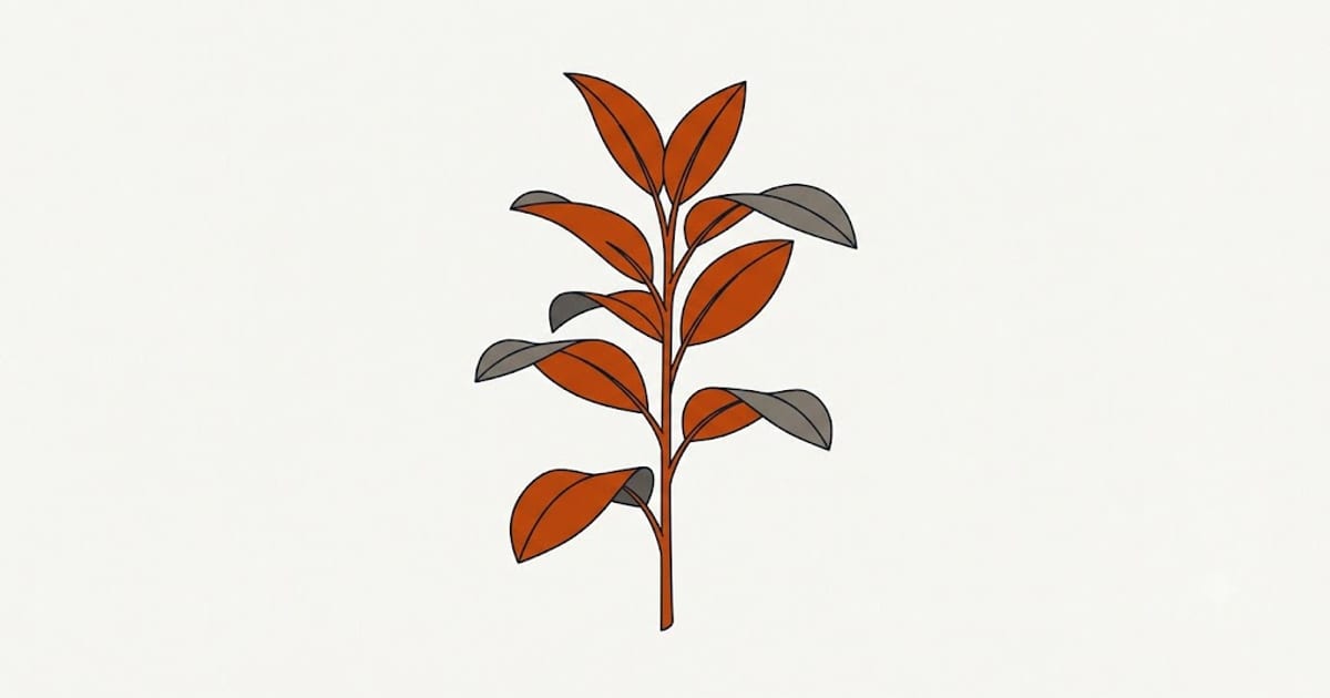 An avocado seedling with browning leaf tips