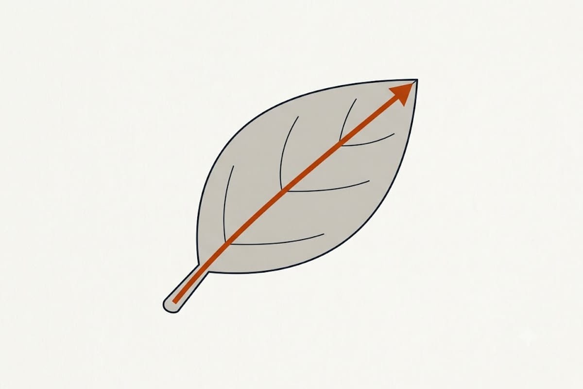 Root pressure pushes sap out through pores at the leaf edge