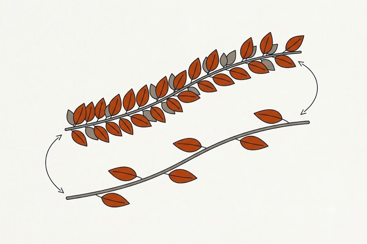 Wide gaps between leaves mean the plant is reaching for light