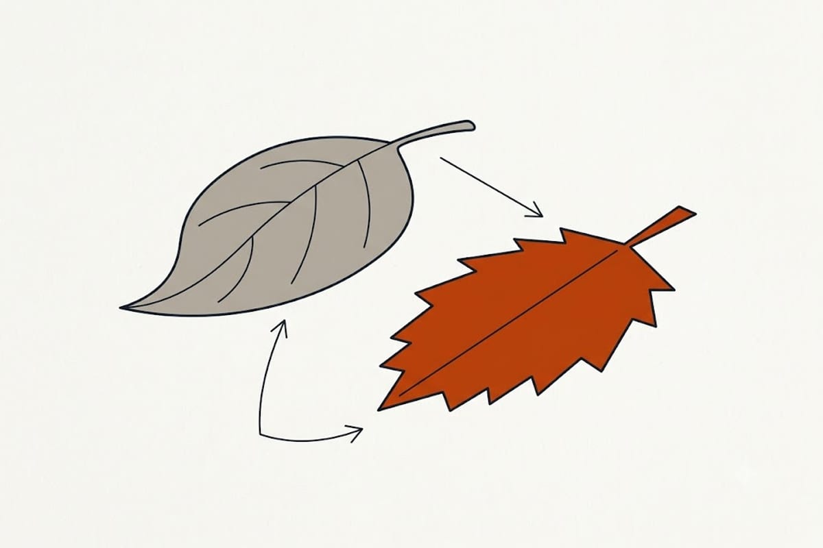 Soft limp leaves and dry papery leaves