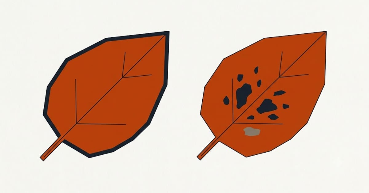 Brown edges compared with brown spots in the leaf centre