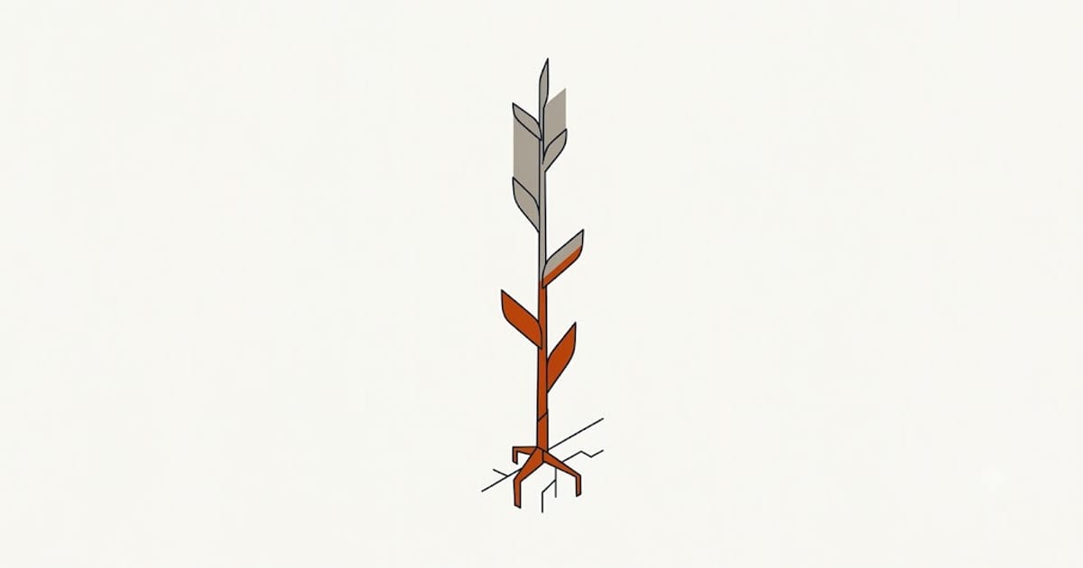 An orchid flower spike browning from the tip