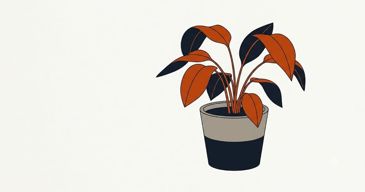 A drooping plant in wet soil