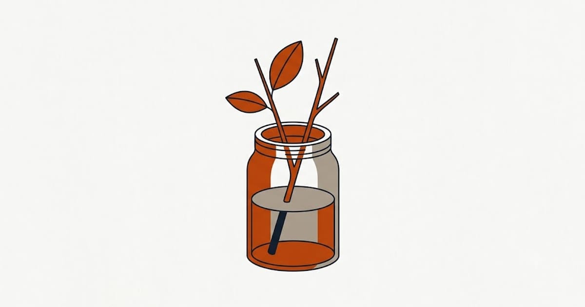 A cutting in a jar of water with no roots forming