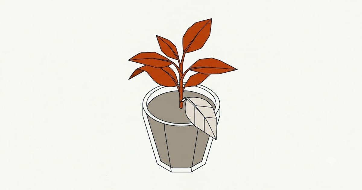 A recently repotted plant with a yellowing lower leaf